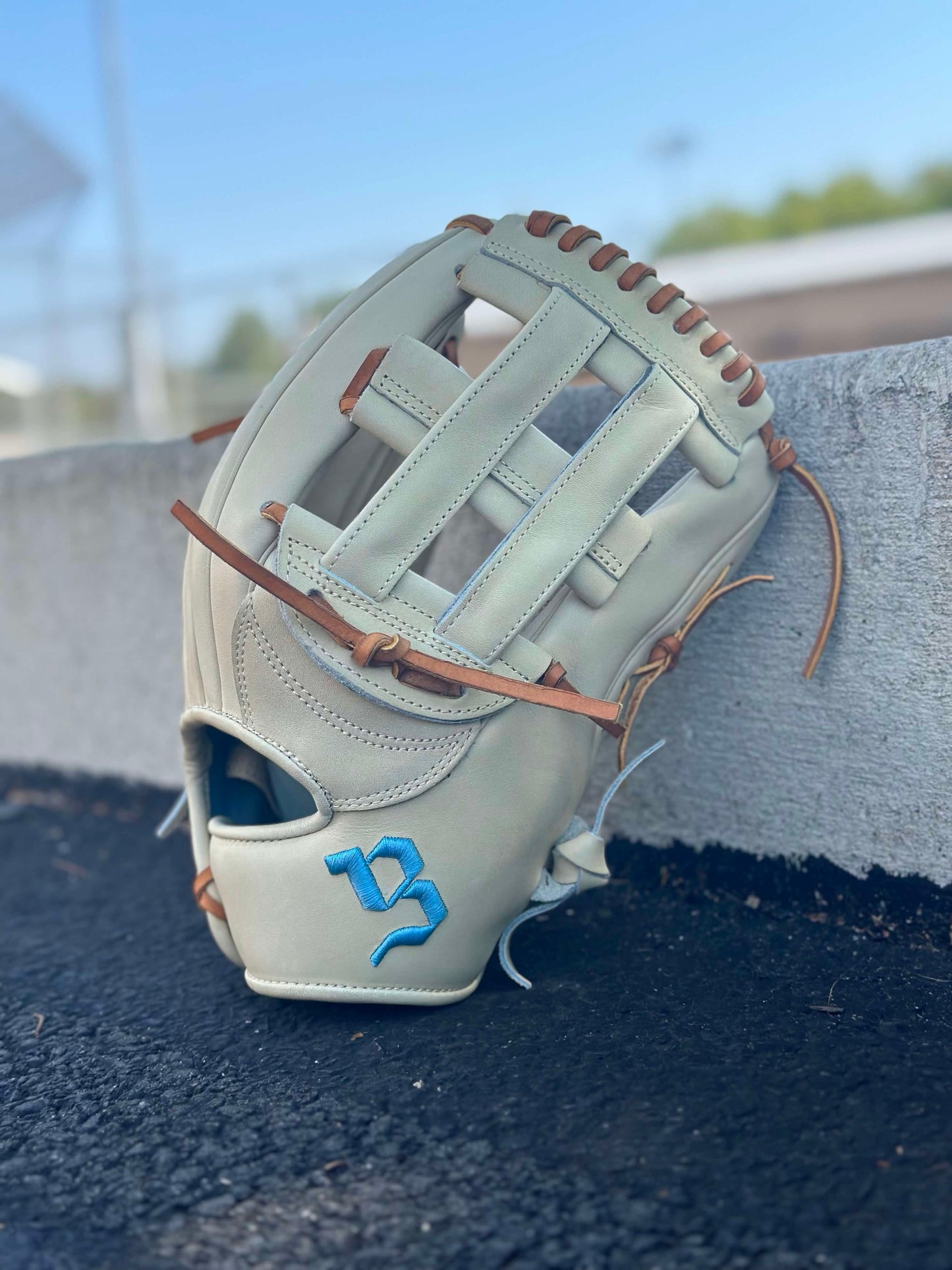 Outfield Glove