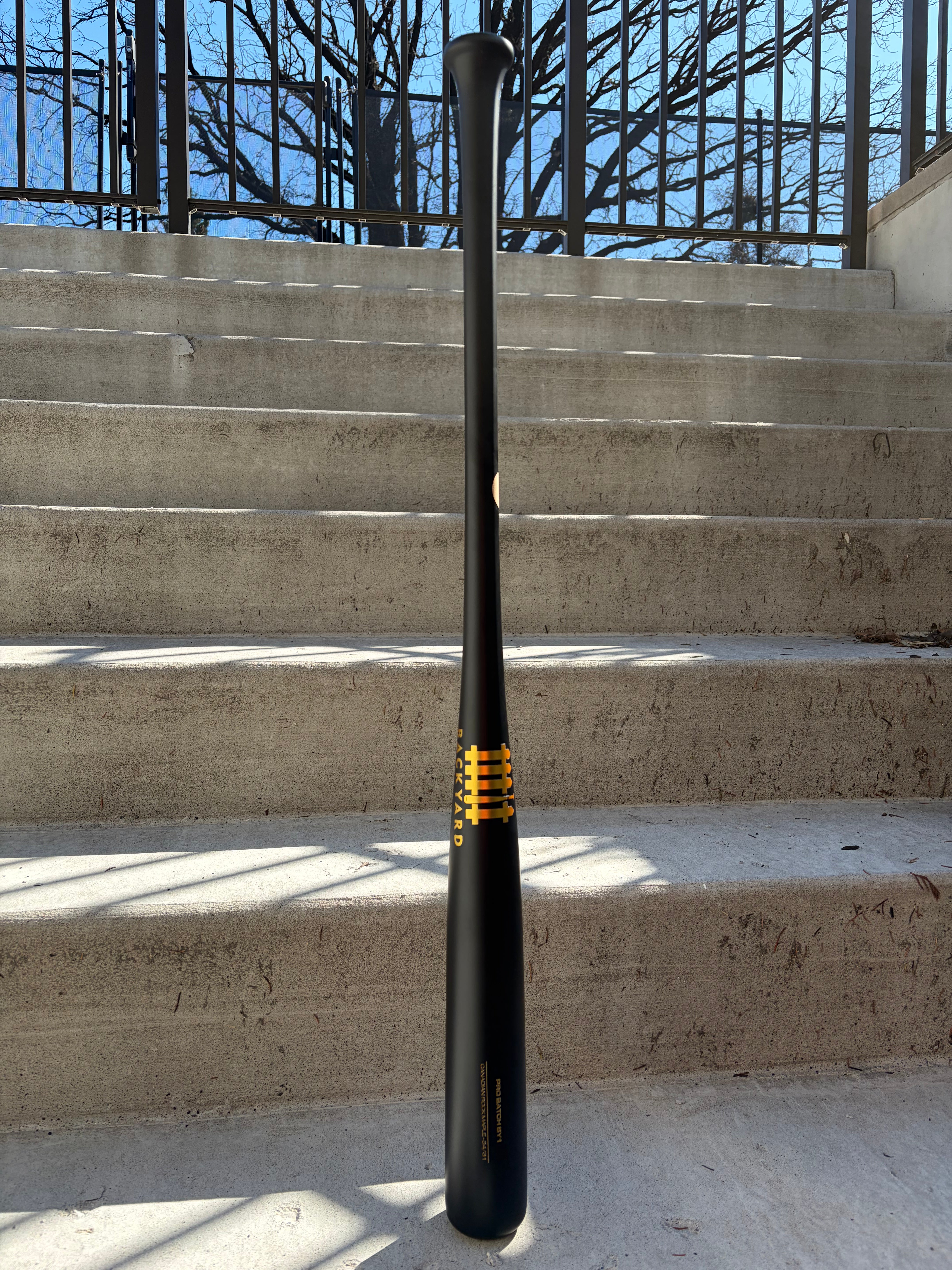 Pro Batch – Backyard Baseball