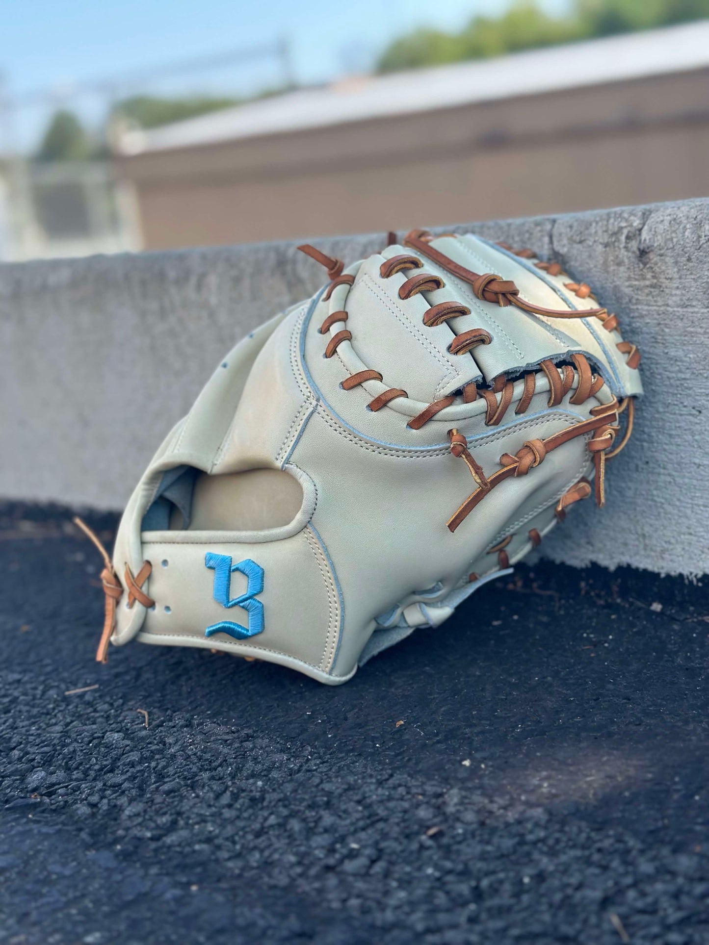 Catcher Mitt